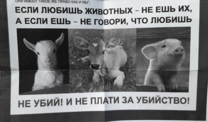 Если любишь животных...