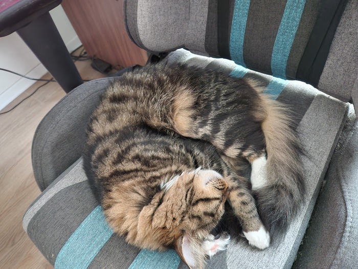 Ежедневный Рислинг #79