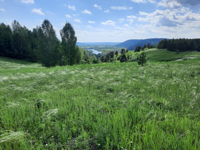 166 дней Есенина