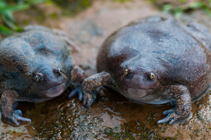 Когда рассказываешь родителям про свою работу, они ничего не понимают, но делают вид, что очень горды тобой.