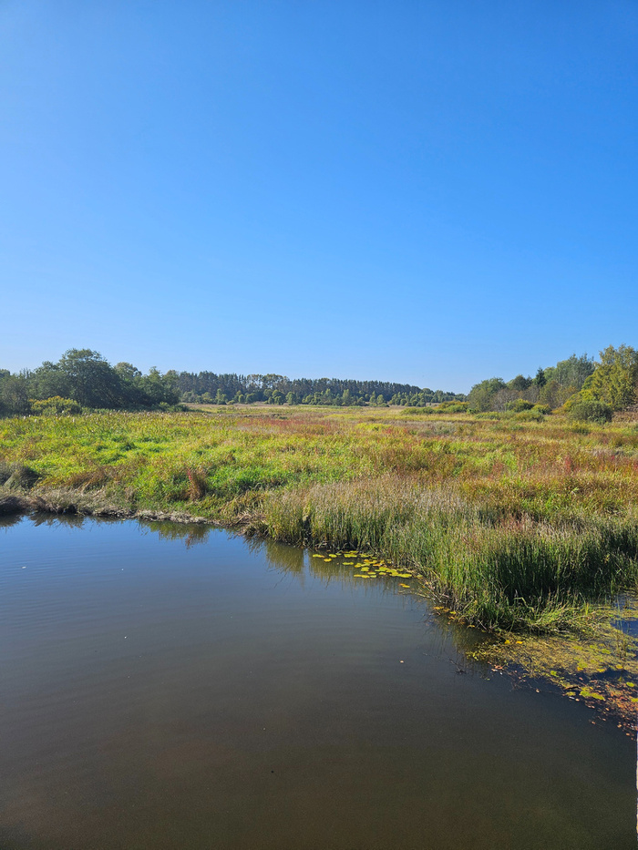 Река у деревни