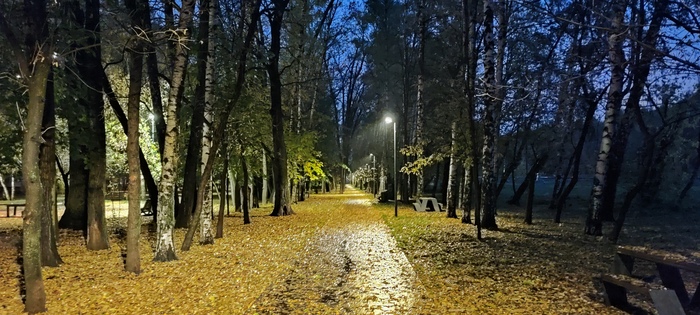 Осень золотая