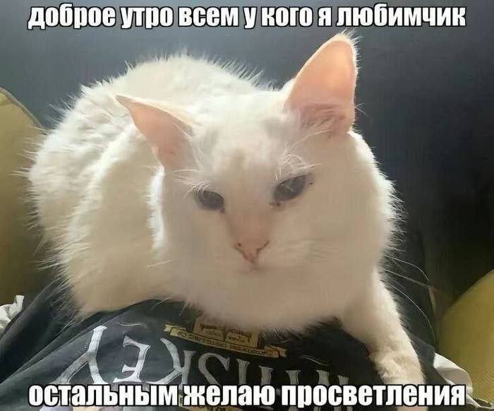 ���� ������� �������� ;)