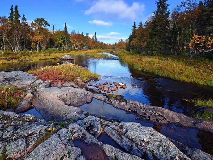 Камни реки Ромбач