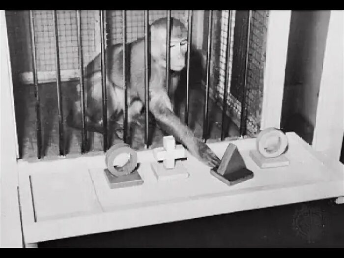 �������� �������� ����������� �� ����...��, ���, ���� �� ������������ �������