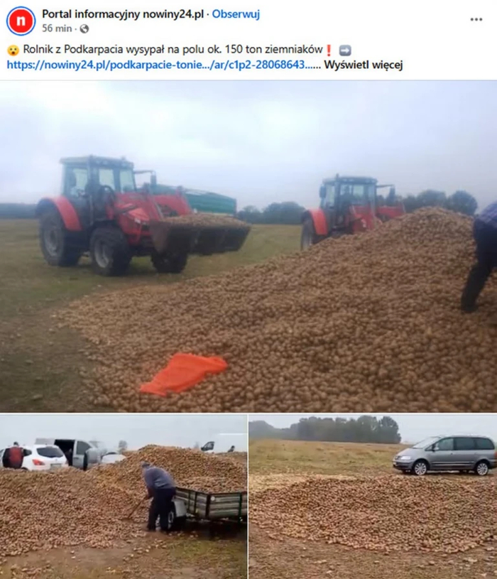     <!--noindex--><a href="https://pikabu.ru/story/v_polshe_s_polya_fermera_ischezlo_150_tonn_kartoshki_ktoto_poshutil_chto_on_besplatno_razdaet_urozhay_13289395?u=http%3A%2F%2Fnowiny24.pl&t=nowiny24.pl&h=1bdabc7276ea770df5d6ac3ee203ff43f1a9e4ef" title="http://nowiny24.pl" target="_blank" rel="nofollow noopener">nowiny24.pl</a><!--/noindex-->