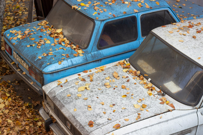 Фото: <!--noindex--><a href="https://pikabu.ru/story/utilsbor_mogut_otlozhit_chto_budet_s_avtoryinkom_13292744?u=http%3A%2F%2Ffreepik.com&t=freepik.com&h=85db536b86aca028ae7e6f514b8f842dbac0a505" title="http://freepik.com" target="_blank" rel="nofollow noopener">freepik.com</a><!--/noindex-->