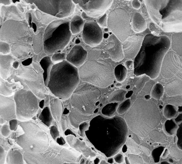    ,     .     ,     ,    .