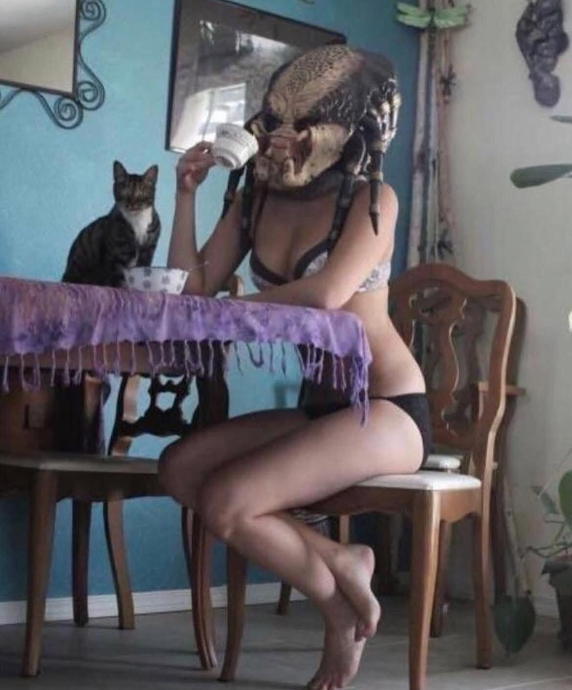 Ролевые игры - Хищник (фильм), Кот, Маска, Девушки