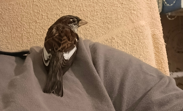 Отстаньте!!