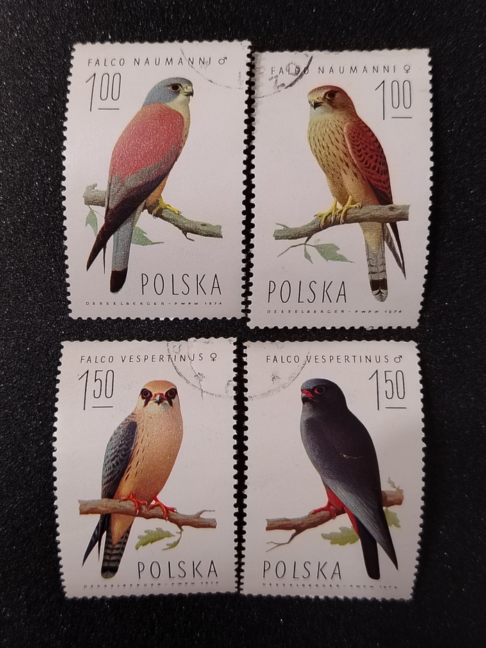 Марки - Хищные птицы 1974г (Польша)