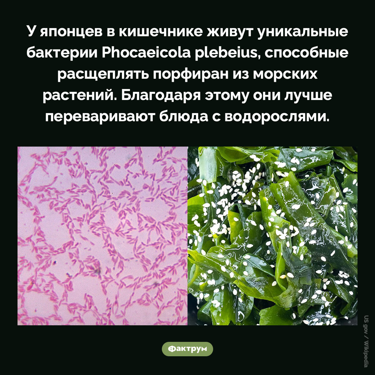 Interesting Facts #202 - Picture with text, Informative, A selection, Facts, Factrum