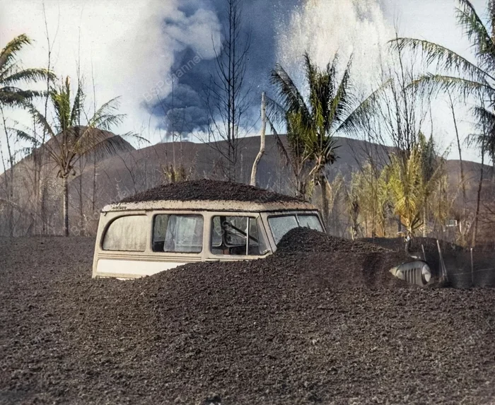 Фотограф: Джон Титчен Фотограф: Джон Титчен