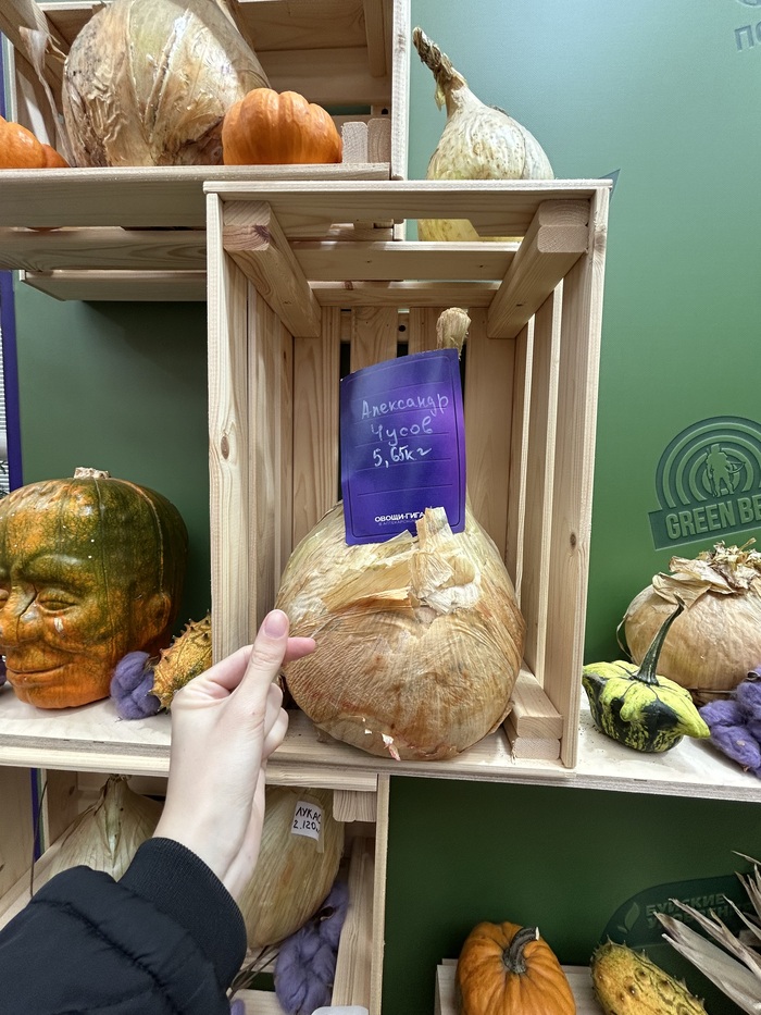 Лук тоже нашли))