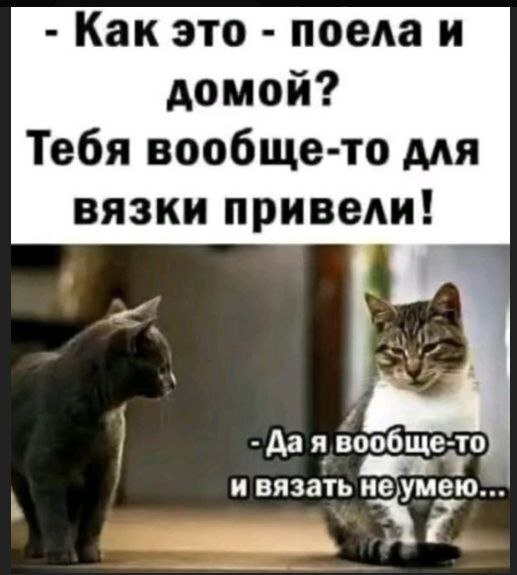 Научим