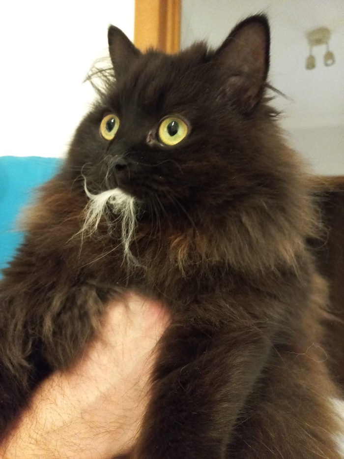 Дэйви Джонс почти