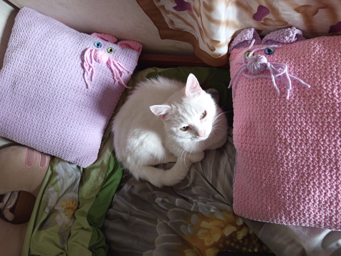 Ответ на пост «Всем привет мне 11 лет и я связала вот такого китенка»