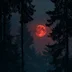 dawn81