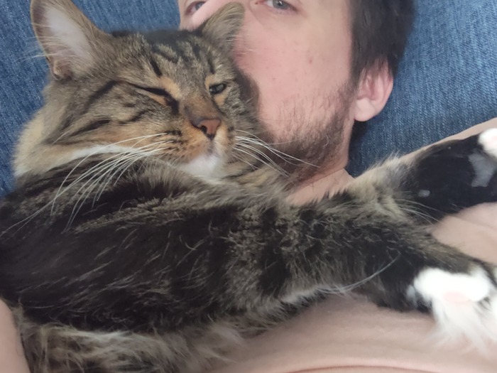 Ежедневный Рислинг #84