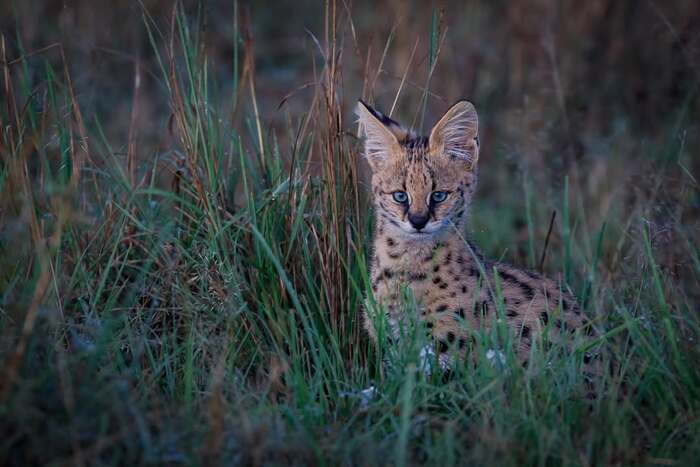 Мама где-то рядом