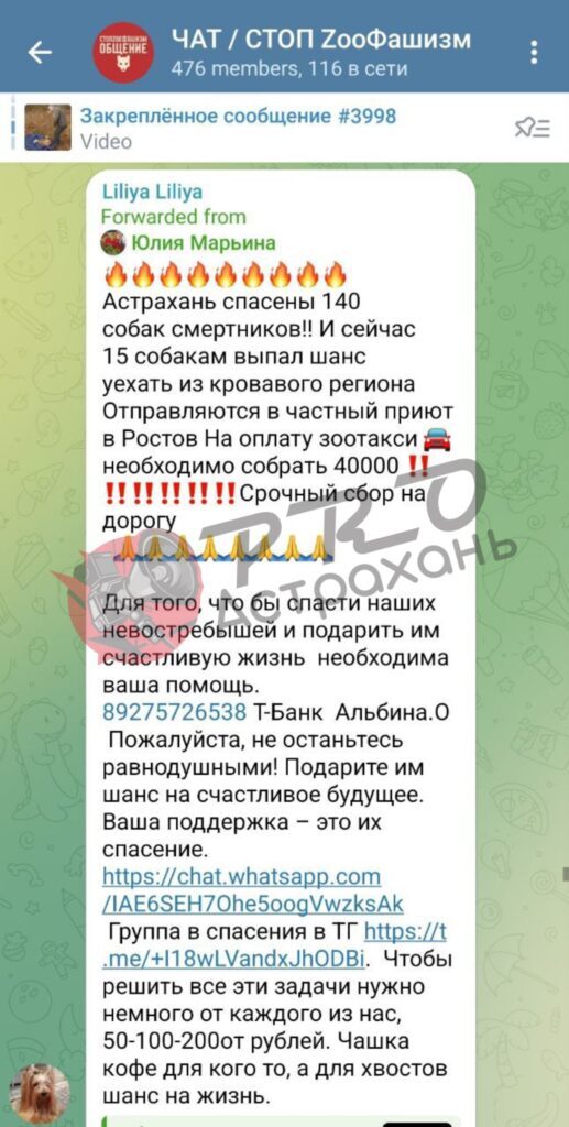 ������������ ���� �� ������� ��� ������������ �����