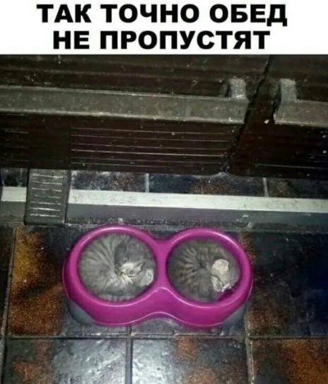 На всё готовое