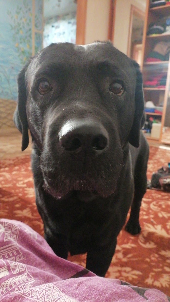 ������������