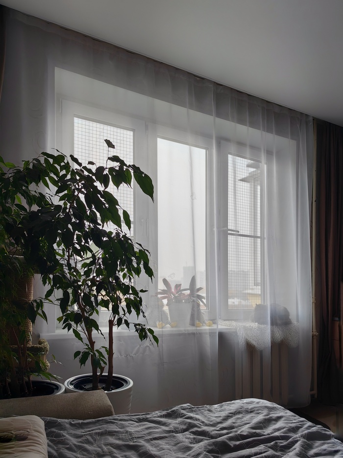 Московский Silent Hill