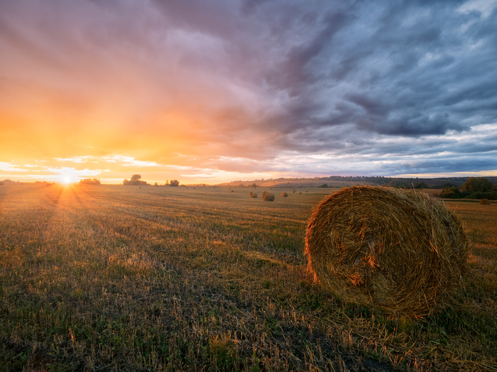 Летний вечер, Чувашия.
