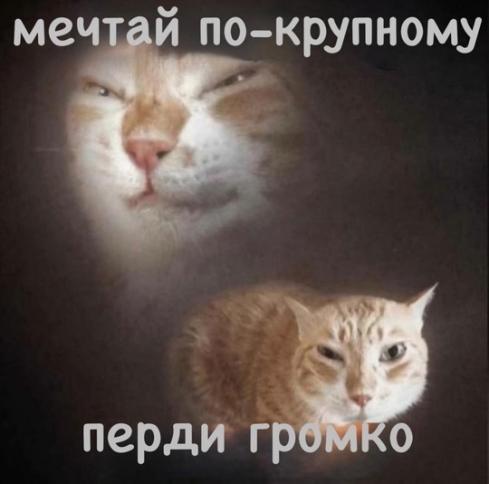 "Действие — это не только результат мотивации, но и ее причина." — Марк Мэнсон