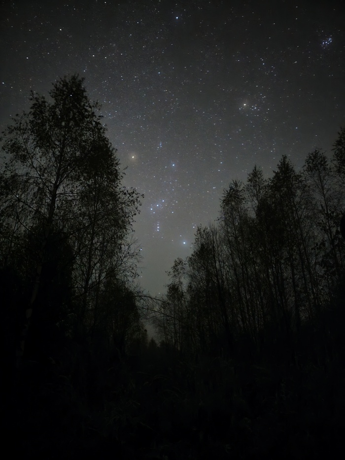 Созвездия Ориона и Тельца на смартфон