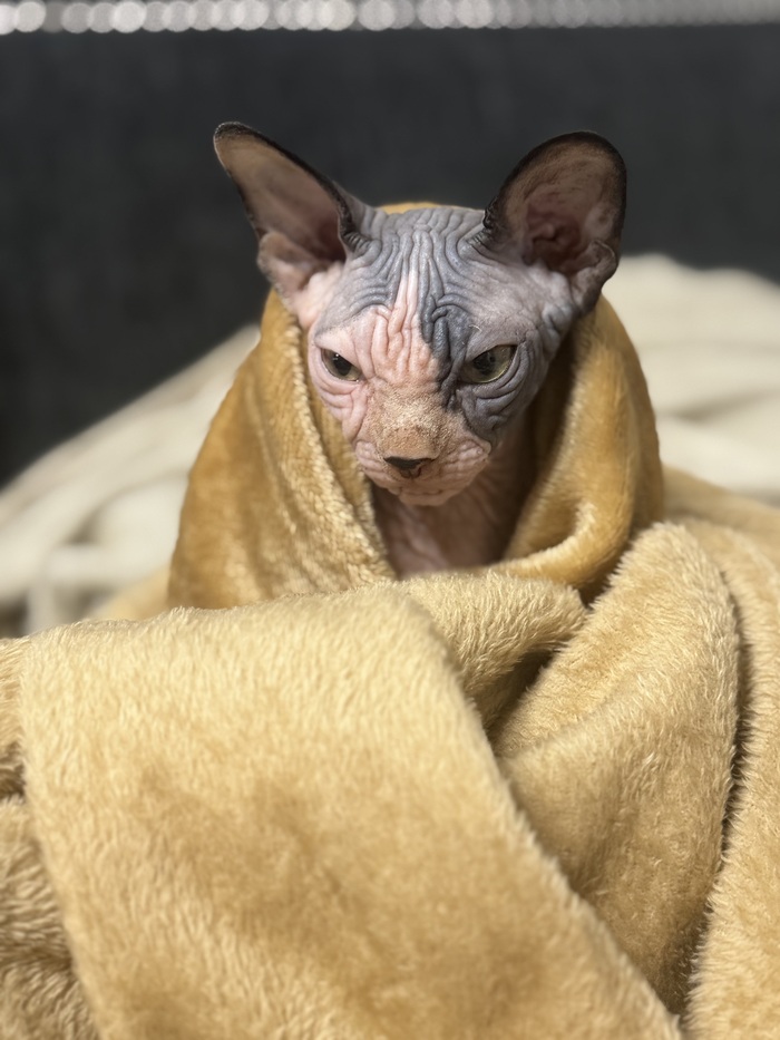 Моя первая осень!