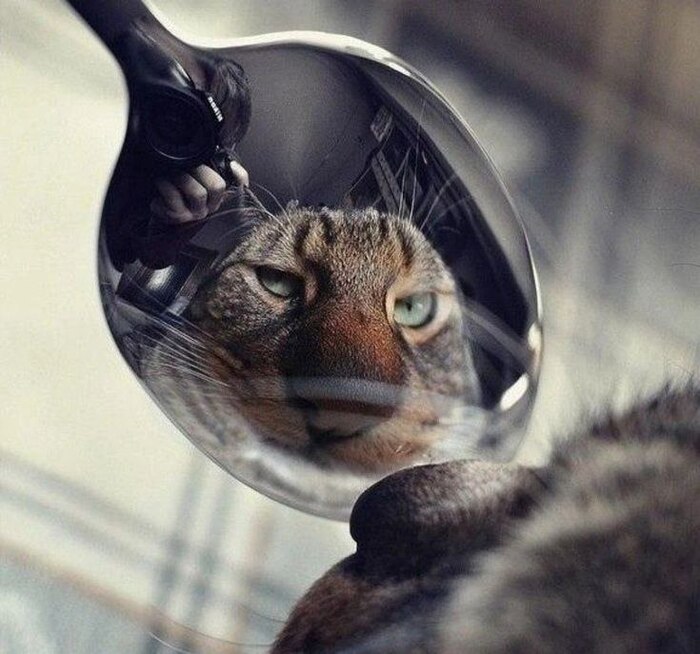 Доброй ночи