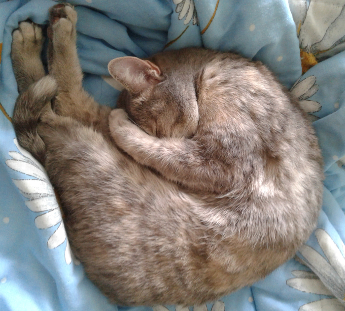 Прогноз погоды