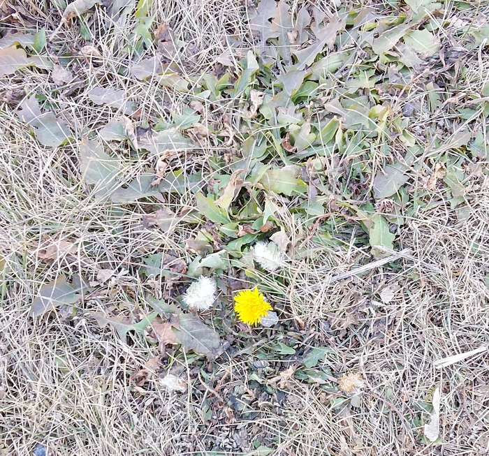 ��������� ���������