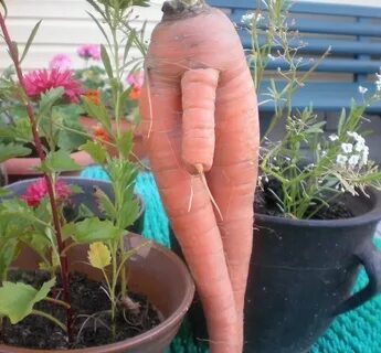 Кто нибудь в ОЗОНе на марковках выиграл что нибудь путёвое!?