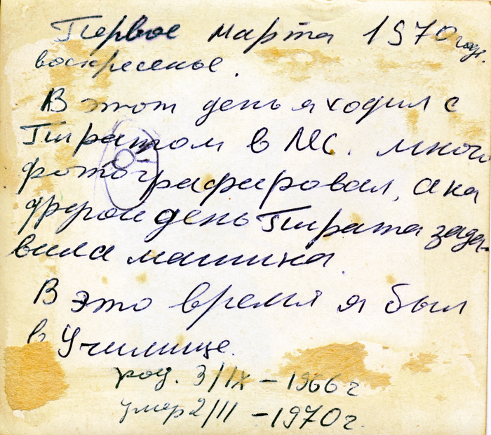 Первое марта 1970 года воскресение. В этот день я ходил с пиратом в лес, много фотографировал, а на другой день Пирата задавила машина. В этот день я был в училище.