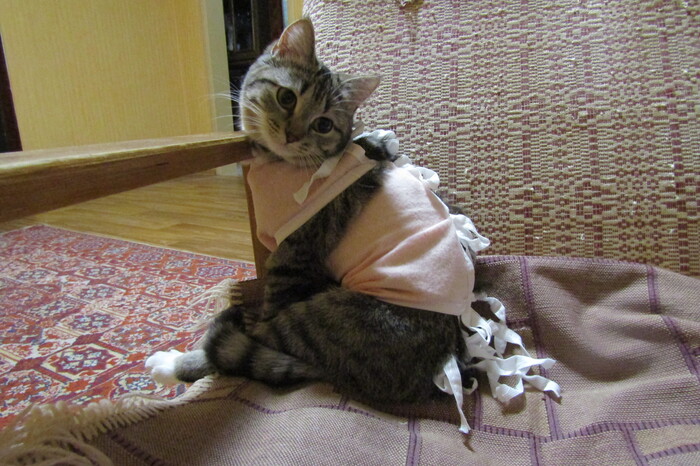 Ответ на пост «Ответ на пост "Я вам ещё покажу!"»