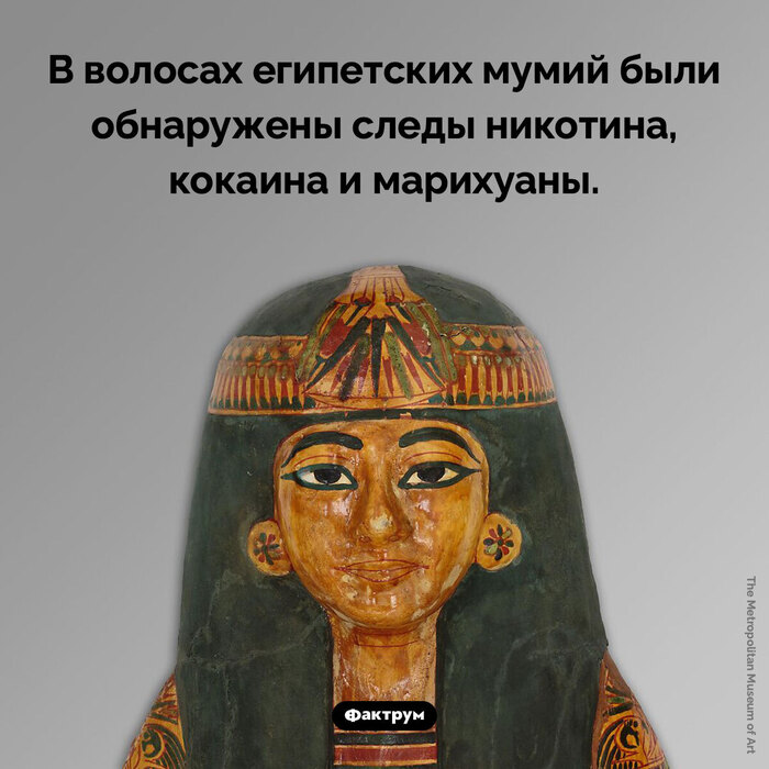  JohnySilverHand      205