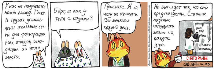 Котейкины Новости от 23.10.2025