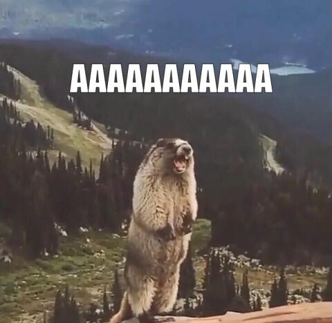 Опыт смены мобильного оператора