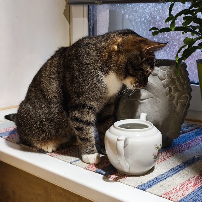 Пить или не пить...