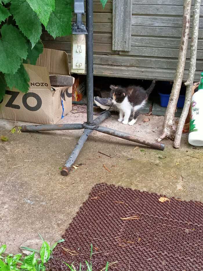 Еще в деревне. Еще не моя.