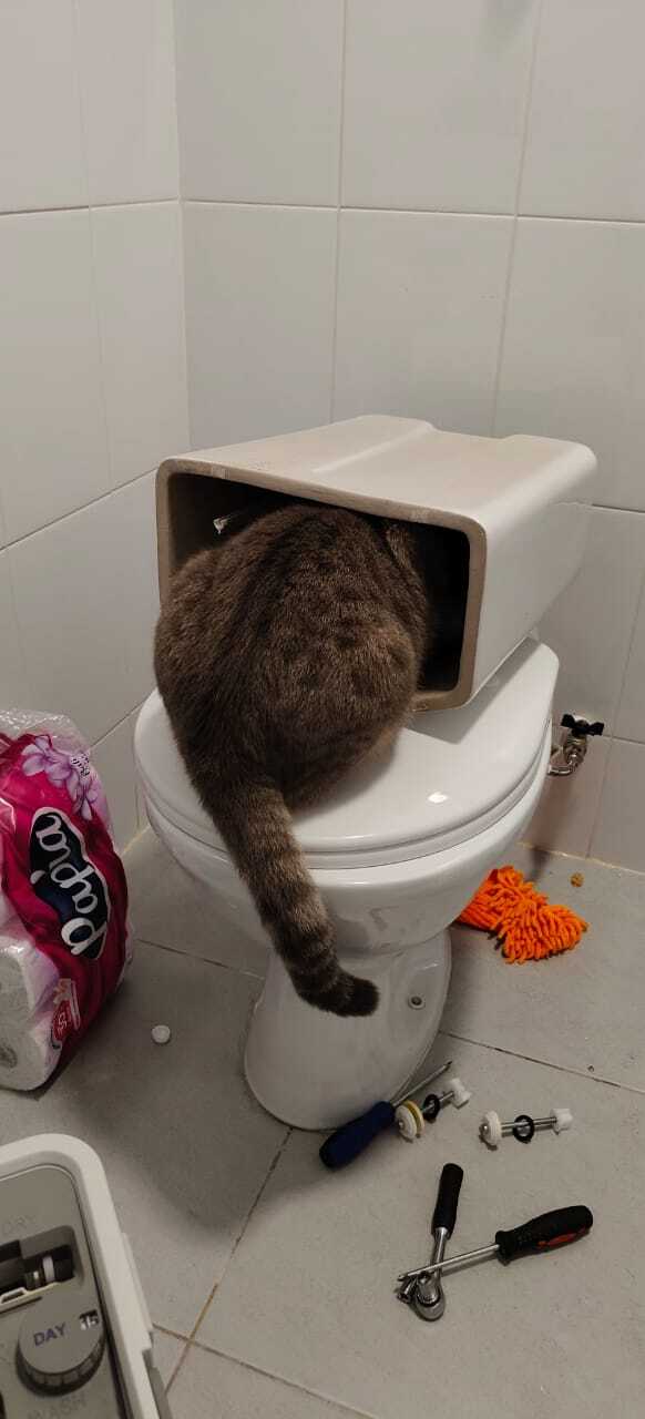 Ключ на 10 подай!