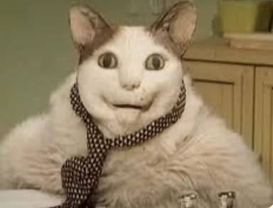 ��! �� �����