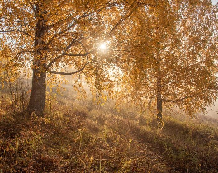     - . Ÿ  ,   , ,  .       ,    !