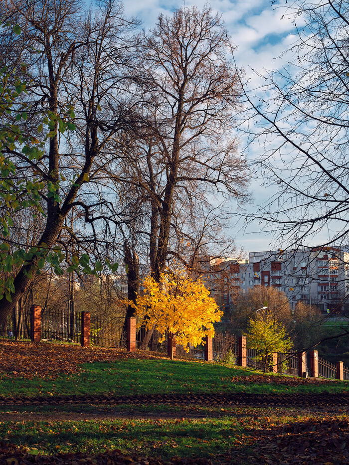 Fujifilm GFX100II + 55mm F1.7