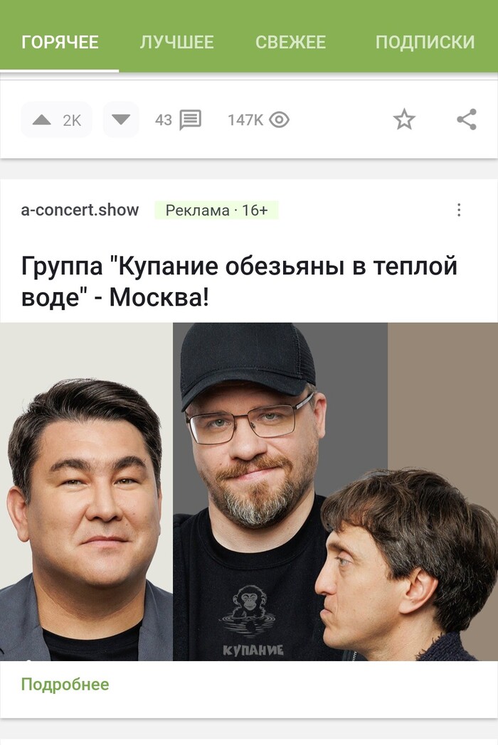 Группа купание обезьяны в тёплой воде