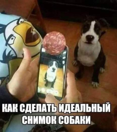 Совет