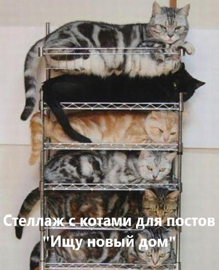 Отдел технического обслуживания pikabu.ru